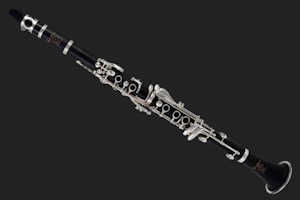 Gemeinhardt 2CN1 Clarinet For Rent