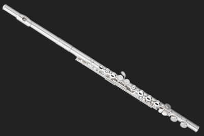 House Choice Flute- Let us pick your rental flute